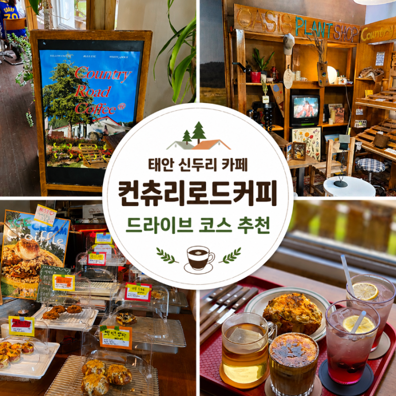 태안 신두리 카페 | 컨츄리 로드 커피 드라이브 코스 추천