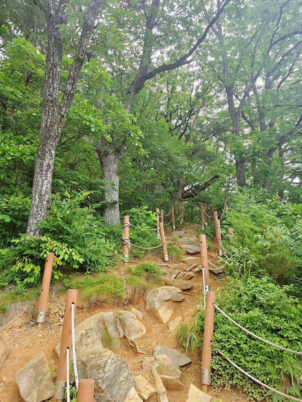 칠족령 전망대 사진 5