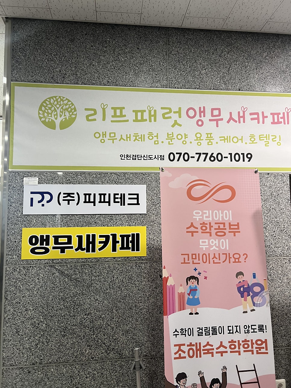 리프패럿 검단신도시점 사진 3