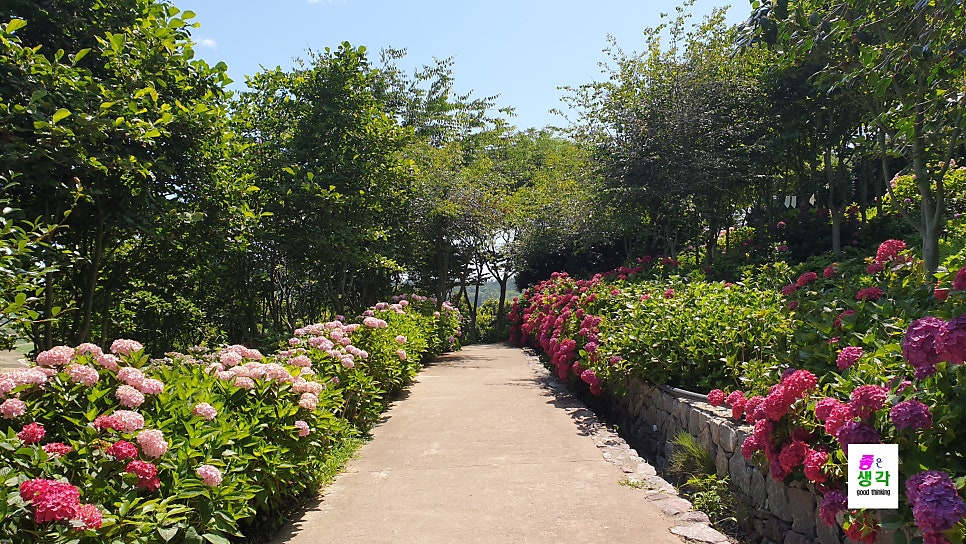 정원 사진 5