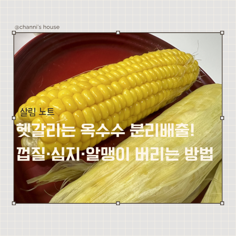 옥수수 껍질 버리는 방법! 심지·알맹이까지 음식물 쓰레기일까?