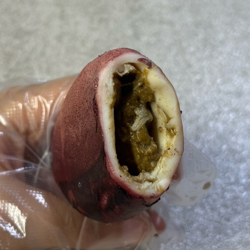여름 제철 초코 오징어통찜 집에서 간편하게 만드는 법