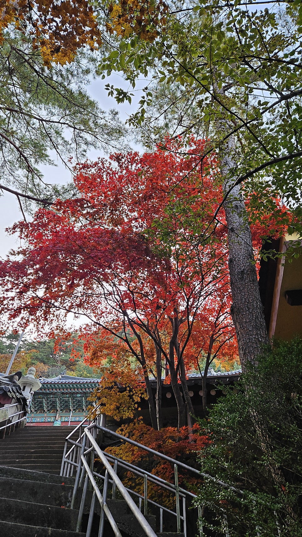 칠성산 사진 4