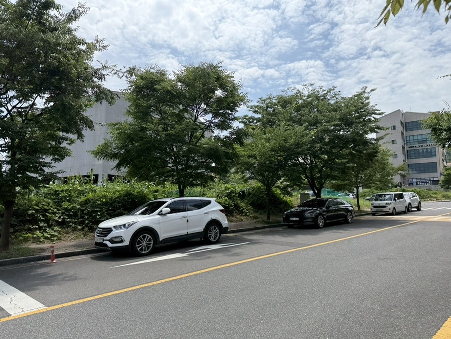 정담복국 사진 2
