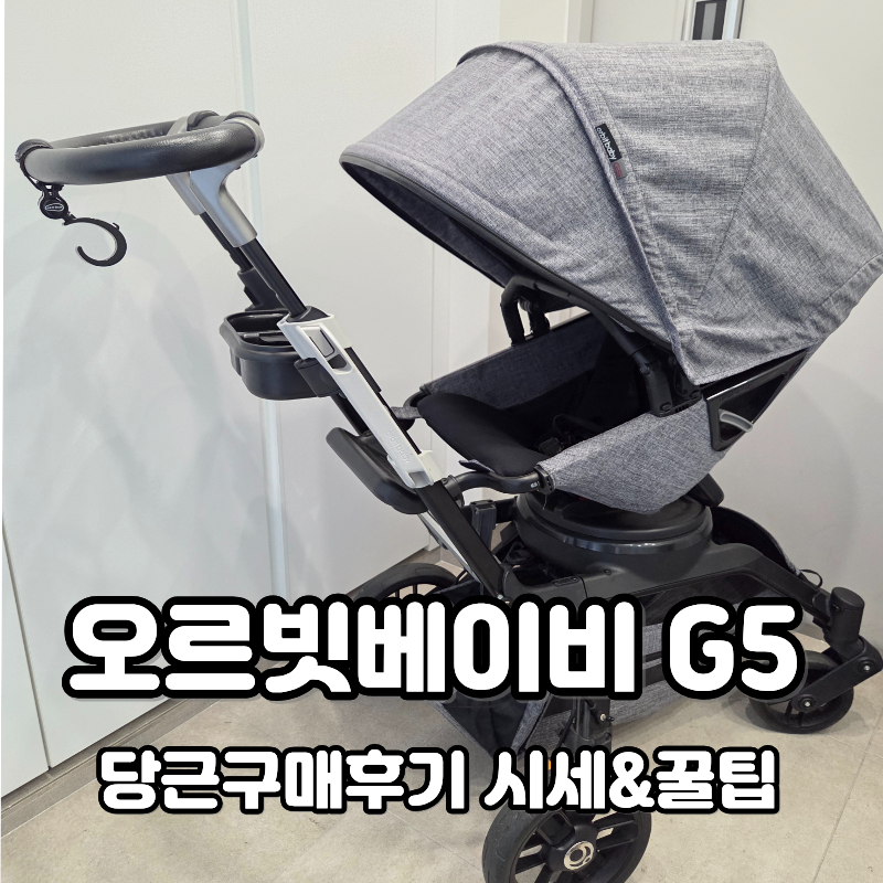 [육아정보] 디럭스 유모차 당근마켓 꿀팁! 100만원대 오르빗 G5 '8만원'에 풀옵션 득템한 후기 &....