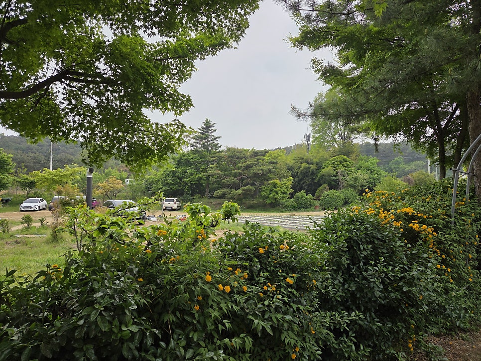 칠보산토종닭 사진 1
