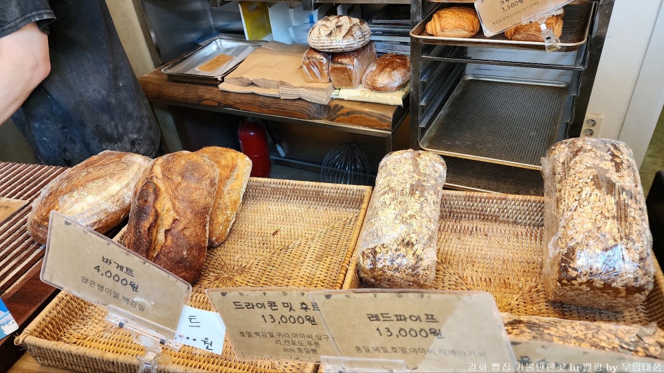 벨팡 사진 5