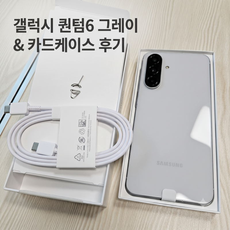 퀀텀6 라이트 그레이, 정품 카드케이스는 저렴하게