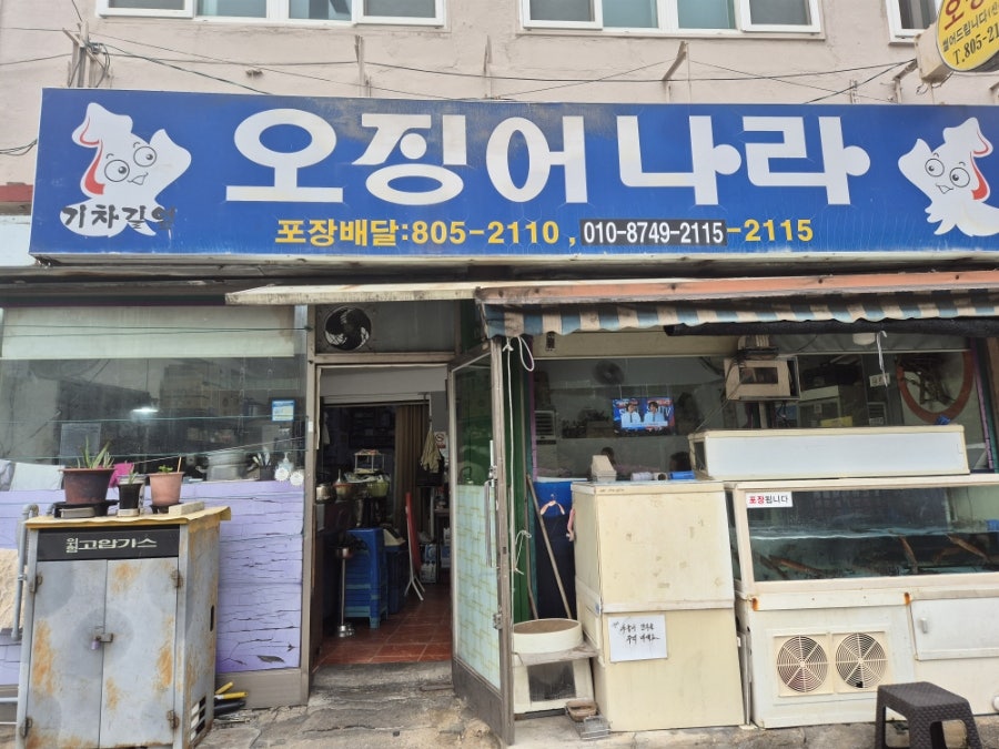 오징어나라 사진 2