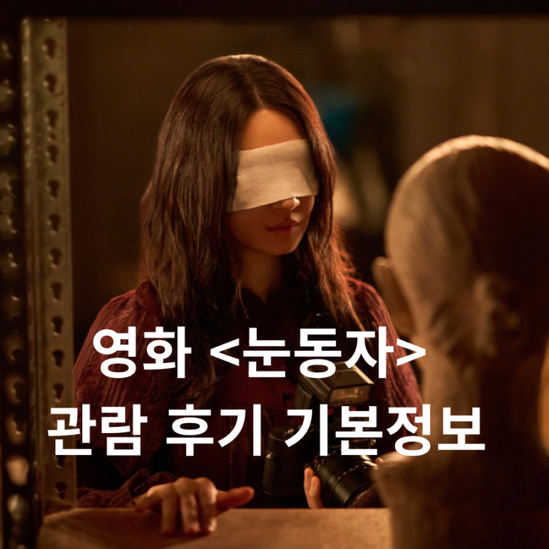 영화 눈동자 솔직후기 기본정보 원작 줄거리