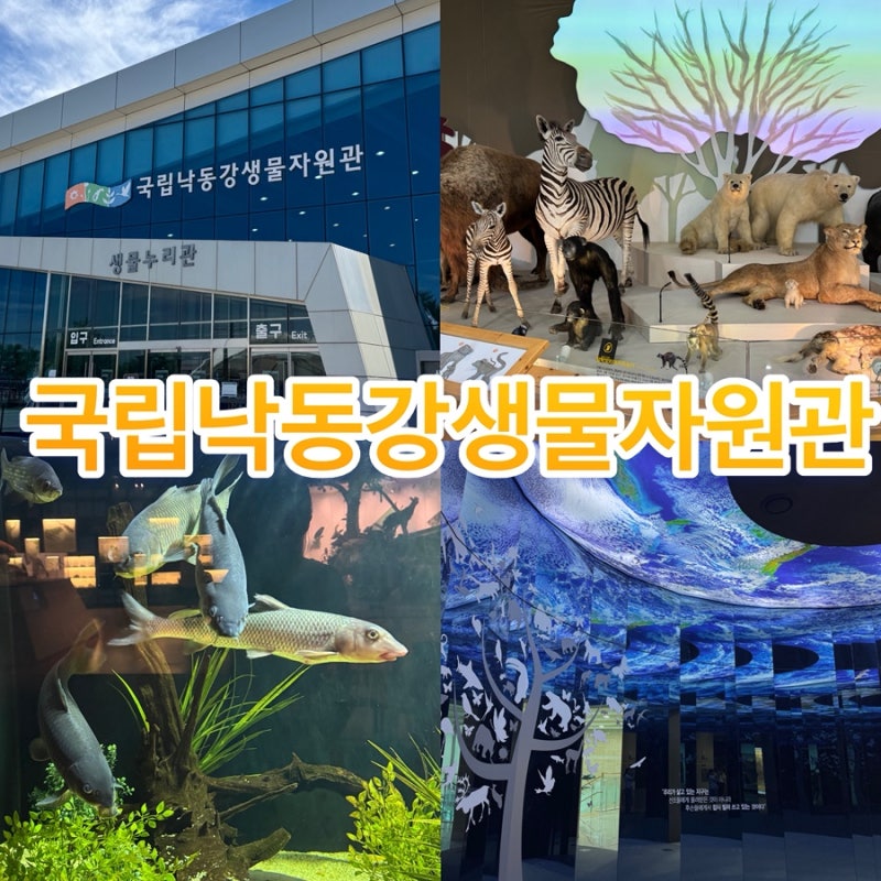 상주 ‘국립낙동강생물자원관’ 아이와 가볼만한곳 두돌아기와 다녀온 후기