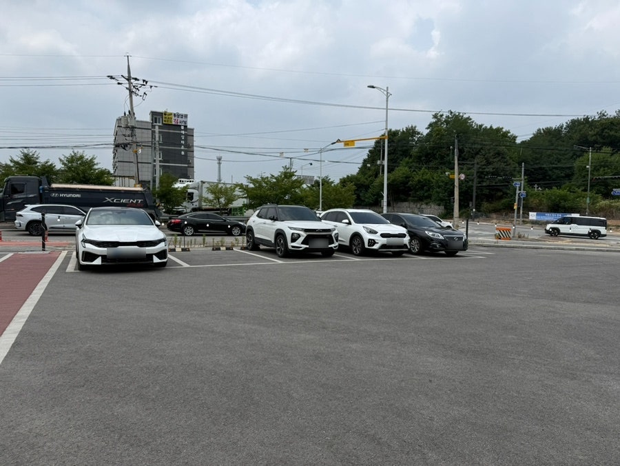 비바비 사진 2