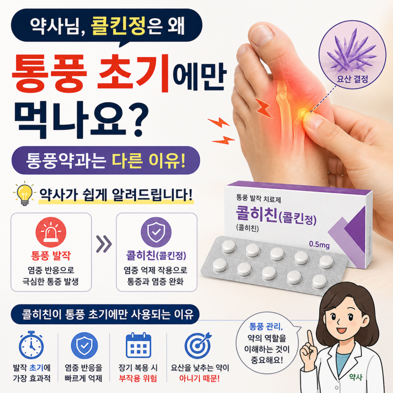 콜히친 (콜킨) 은 왜 통풍 초기에만 먹나요? 통풍약과는 다른 이유를 약사가 알려드립니다