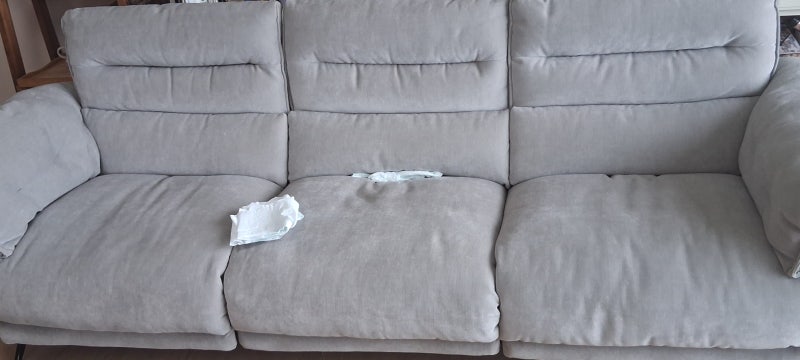 고양이 오줌 냄새 제거, 휴지로 덮어두신 고객님의 현명한 대처