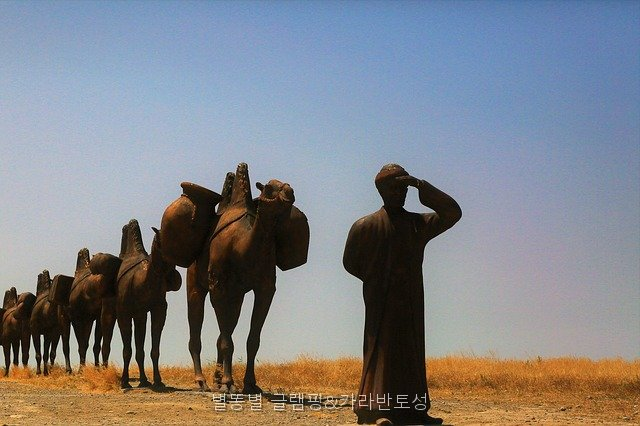 모두의캠핑 사진 5