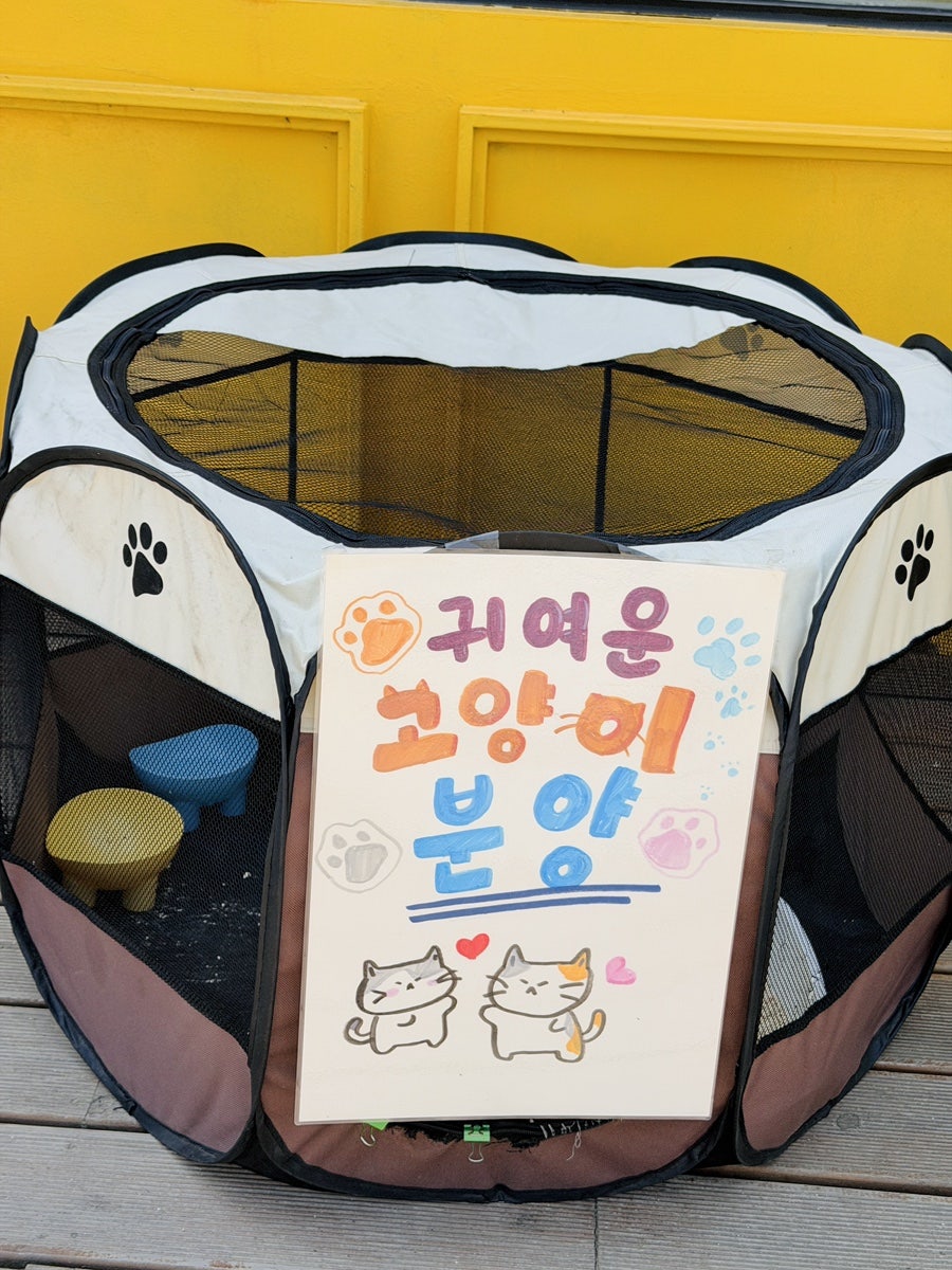 카페우디 사진 5