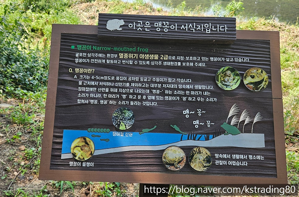 대성각 사진 3