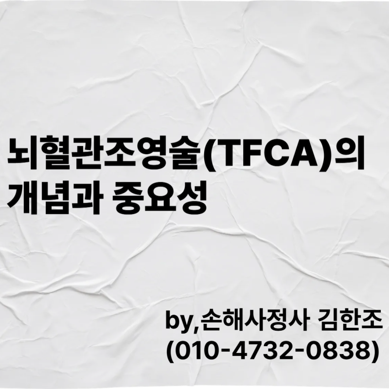 뇌혈관조영술(TFCA)의 개념과 중요성