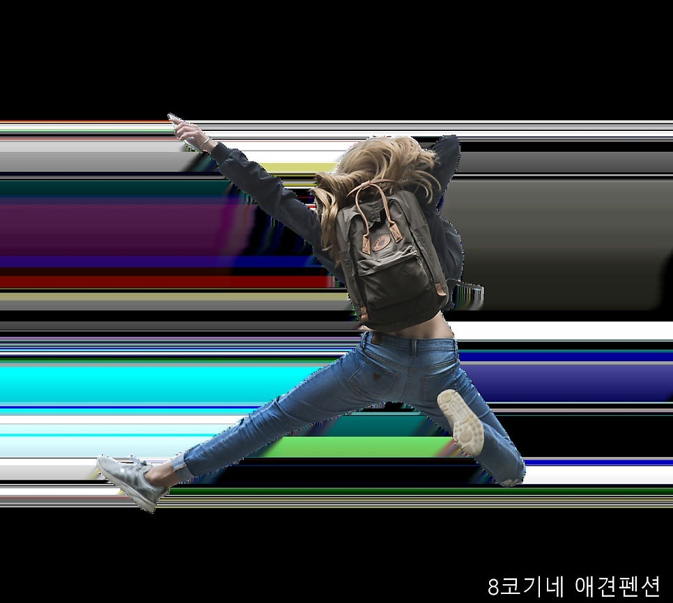 8코기네 사진 3