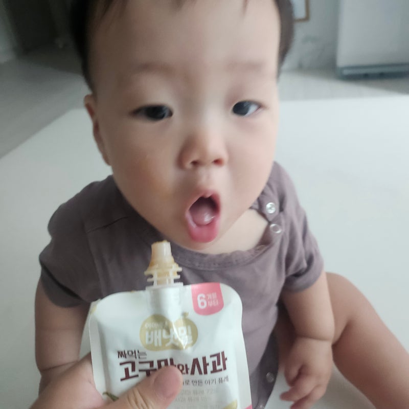 11개월 아기 간식 기록｜요즘 잘 먹는 블루베리와 고구마 퓨레