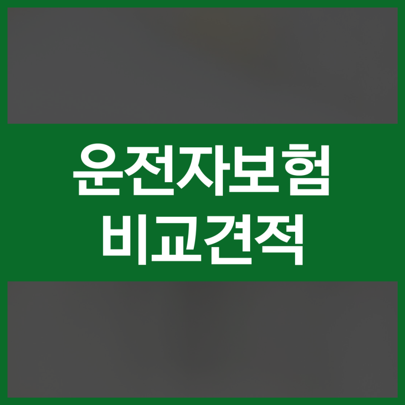 운전자보험이란 일일 운전자보험 차이 직접 알아본 후기