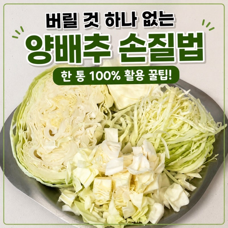버릴 것 하나 없는 양배추 손질법! 한 통 100% 활용하는 보관 꿀팁