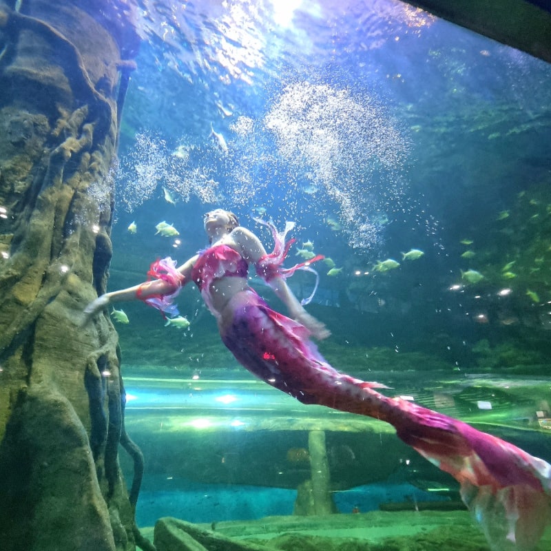 대전 아쿠아리움 여름 실내데이트 가볼만한곳 추천