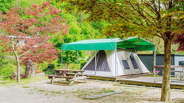 코끼리글램핑펜션 사진 1
