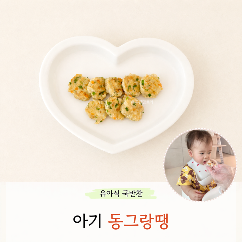 아기 동그랑땡 만들기 돼지고기 레시피 오븐 냉동 보관 유아식반찬