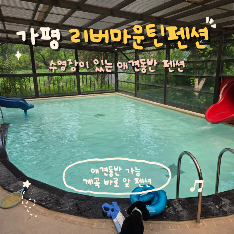 가평 리버마운틴펜션 애견동반 가능 수영장있는 계곡앞 가성비 숙소 내돈내산 추천