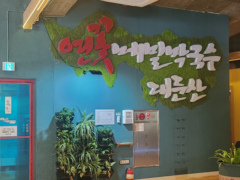 BHC치킨 연꽃메밀막국수 사진 2