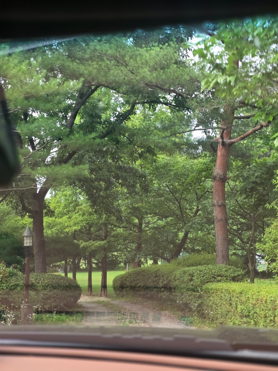 작은숲 사진 1