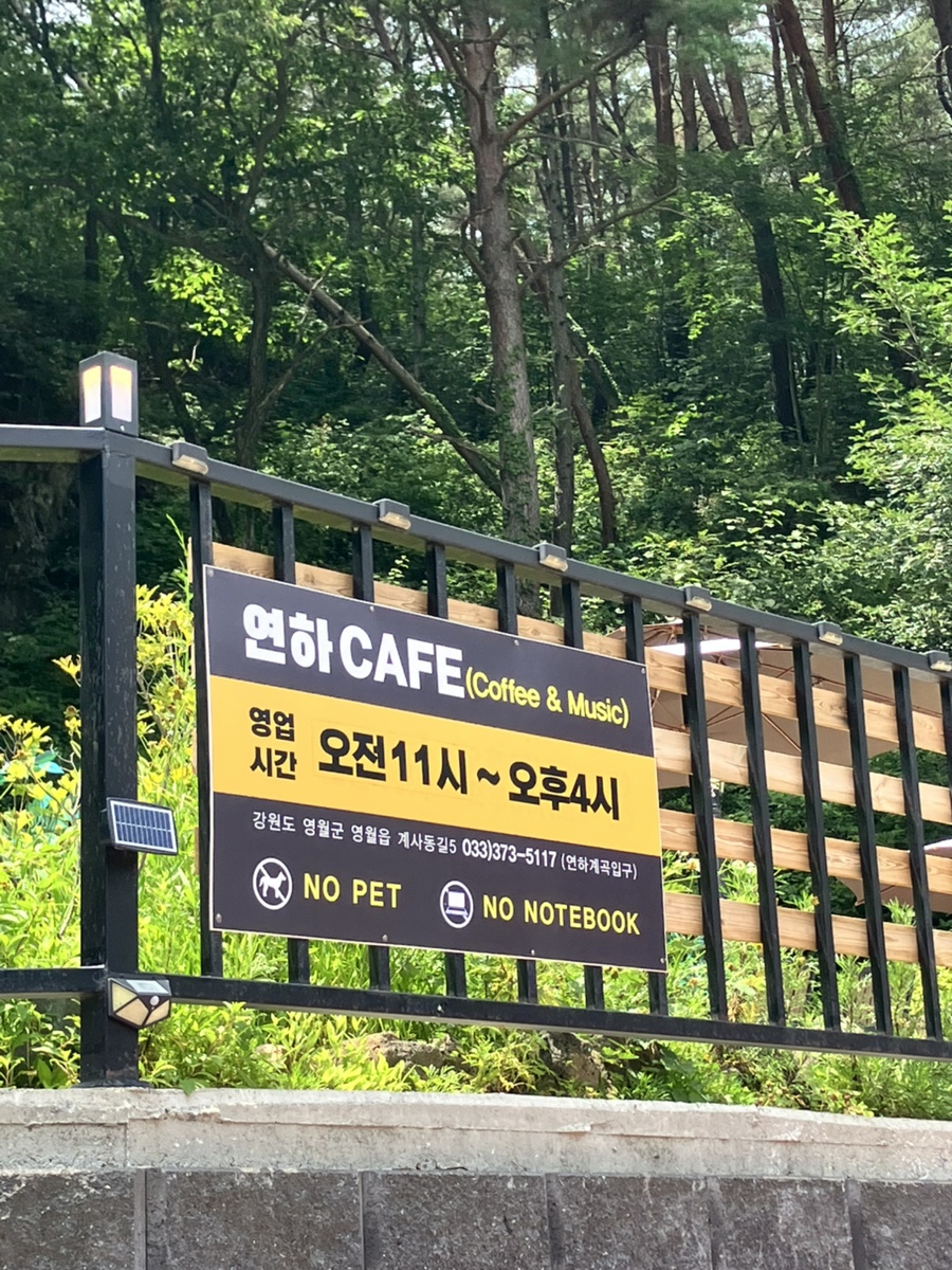 연하카페 사진 4