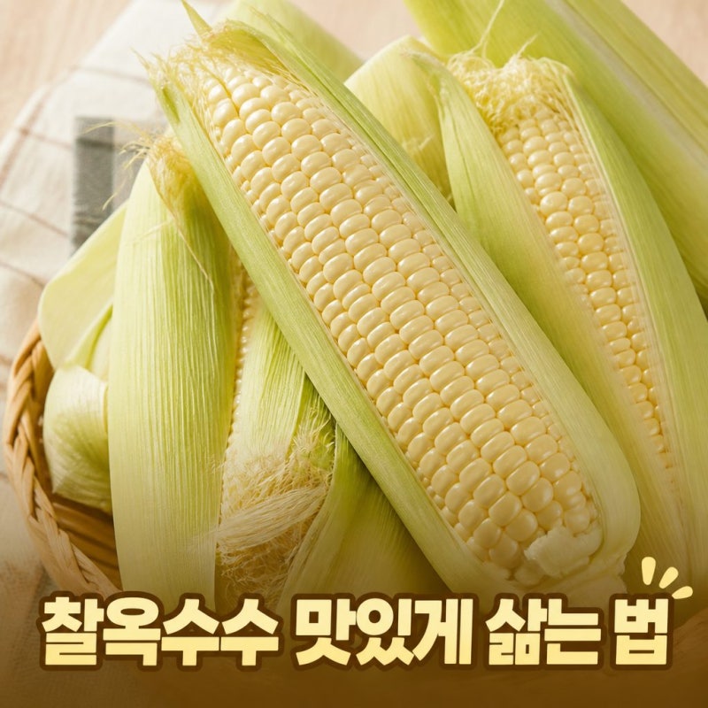 옥수수 삶는법 냄비로 맛있게 찰옥수수 삶는시간
