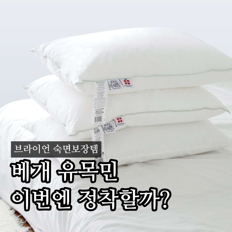 브라이언 베개 어디꺼? 베개 유목민도 궁금한 노르딕슬립