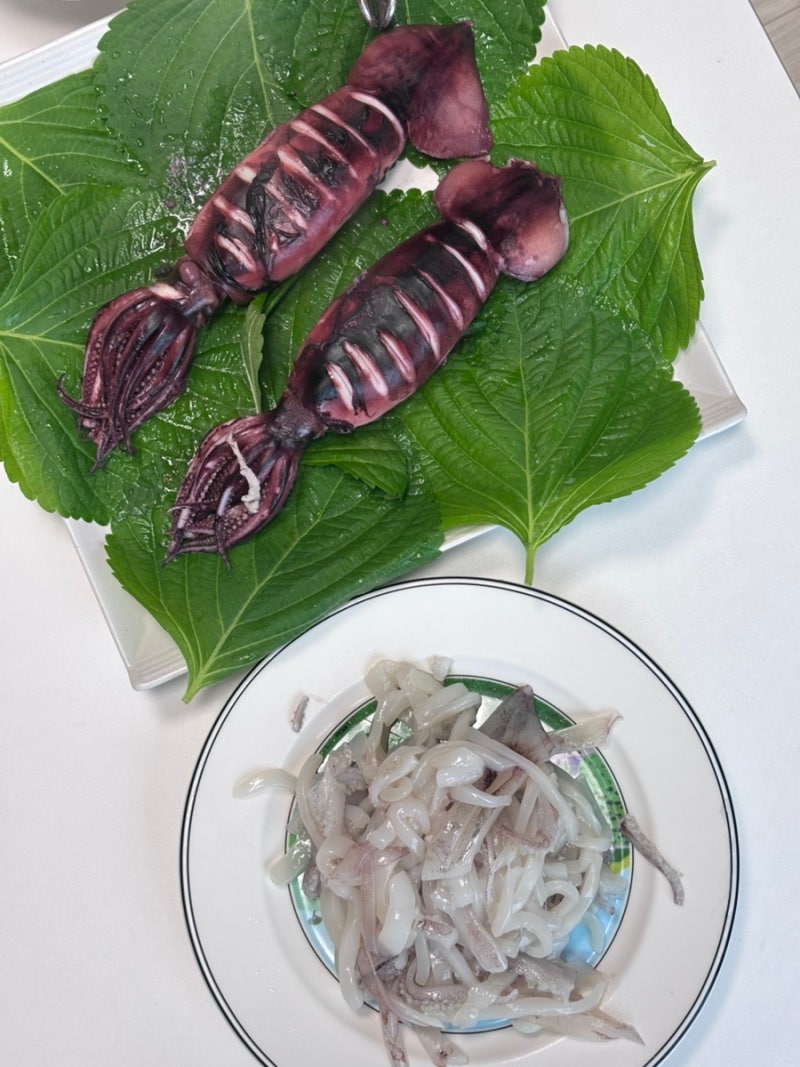 신선만: 생물 오징어 후기 (오징어회, 오징어 통찜 먹기)