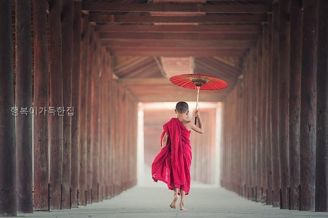 행복이가득한집 사진 4