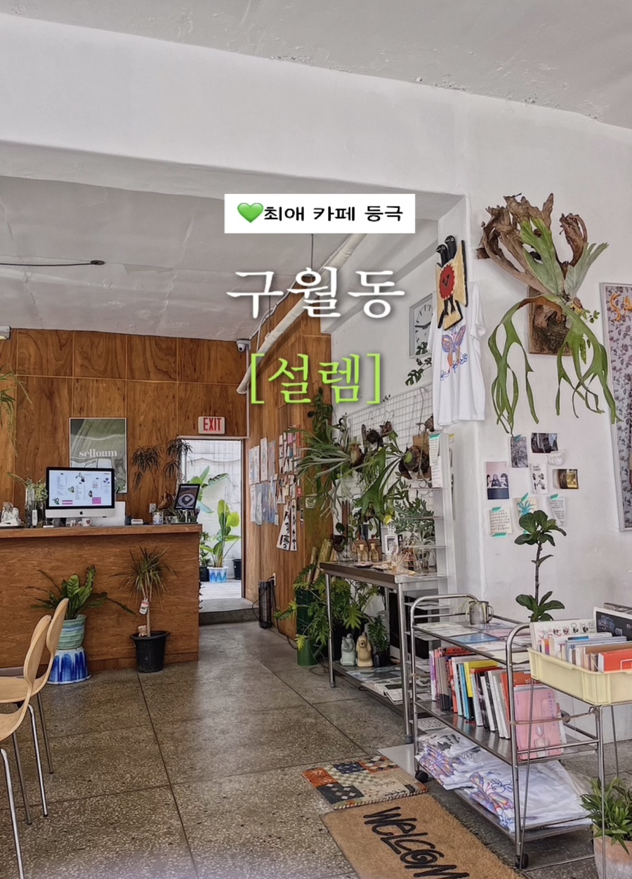 셀렘 사진 1