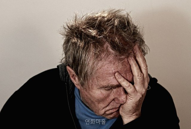 팔미가 사진 4