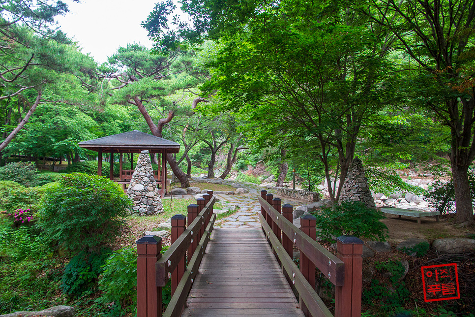 도일봉 사진 5