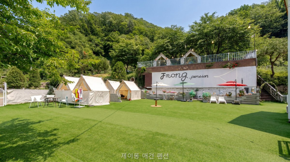 제이몽애견펜션 사진 3