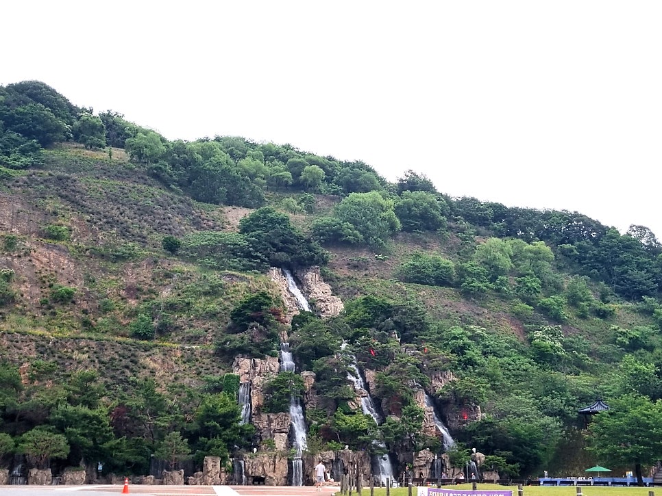 흑산도홍어 사진 1