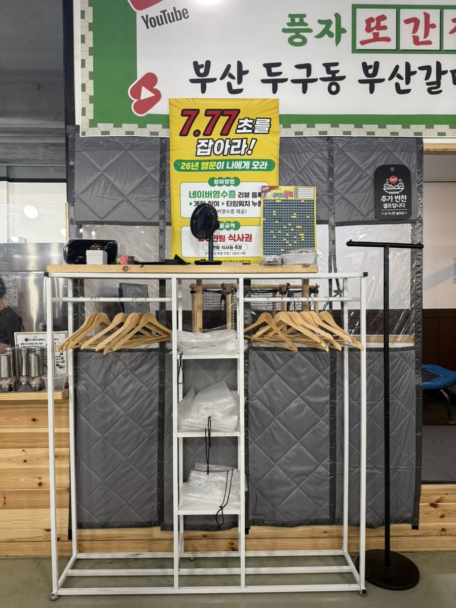 두구동부산갈매기 사진 4