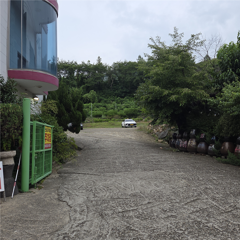 산삼과흑염소 사진 5