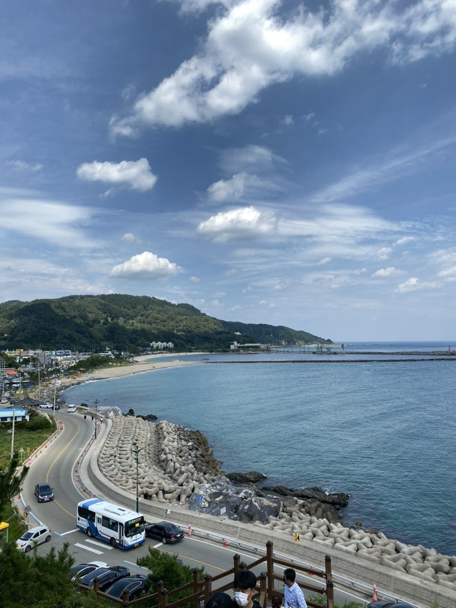 호호바다 사진 6