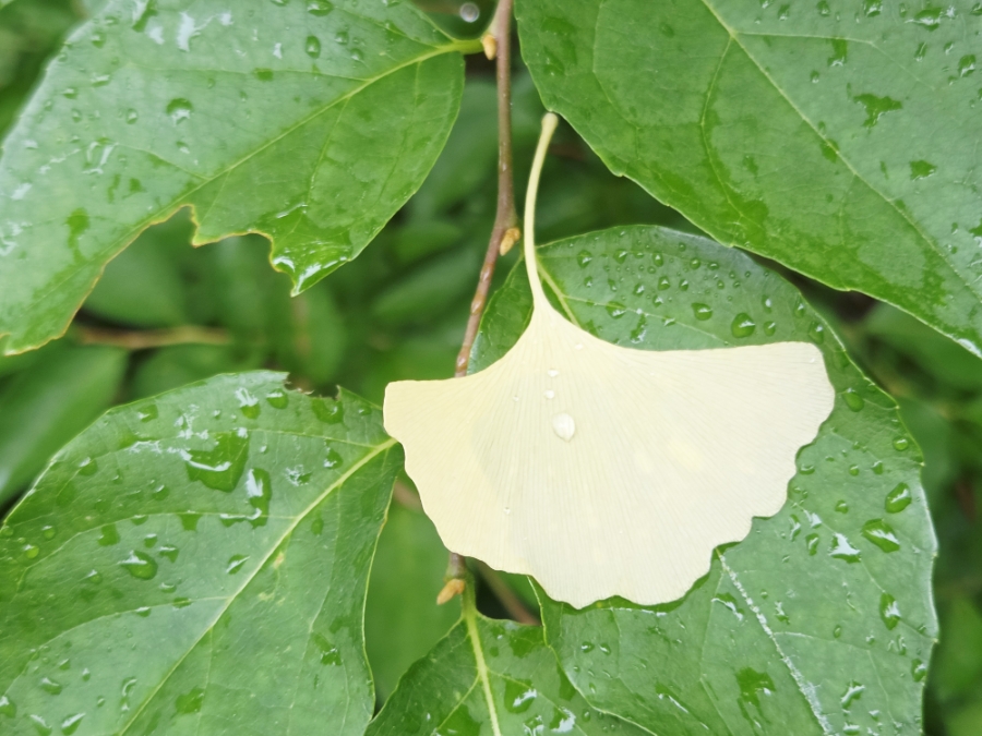 태봉산 사진 6