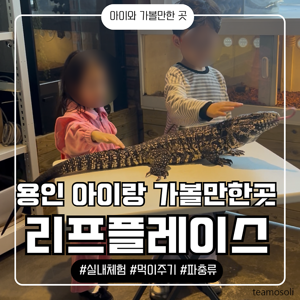 리프플레이스