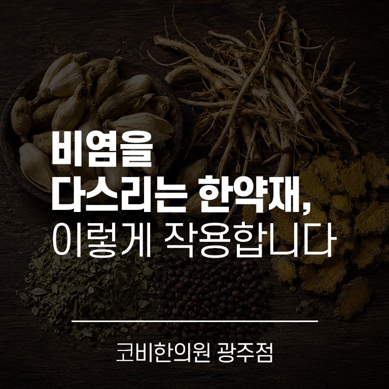 광주비염치료 한의원 비염을 다스리는 한약재, 이렇게 작용합니다