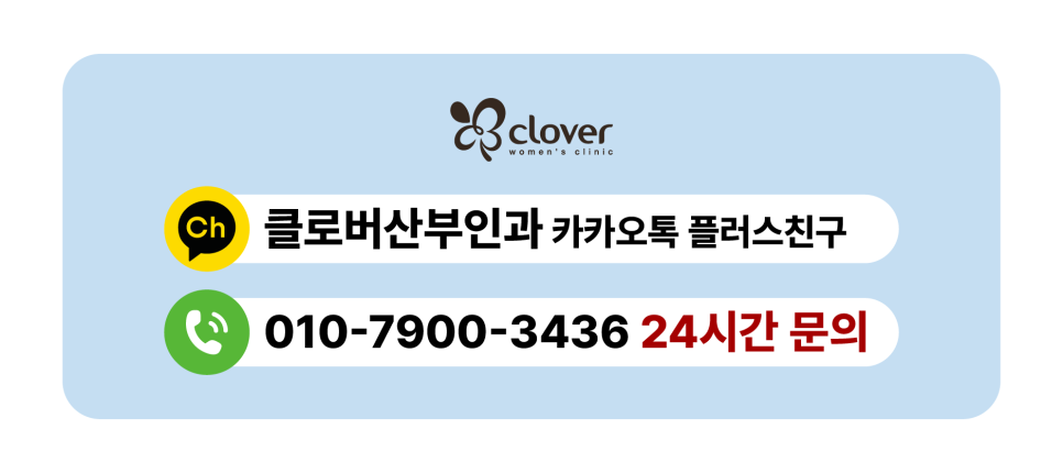 클로버 사진 1