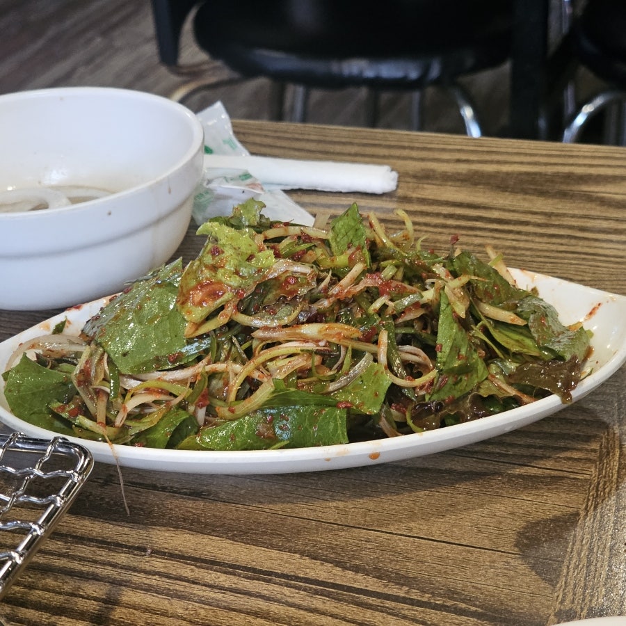 화덕갈매기 사진 6